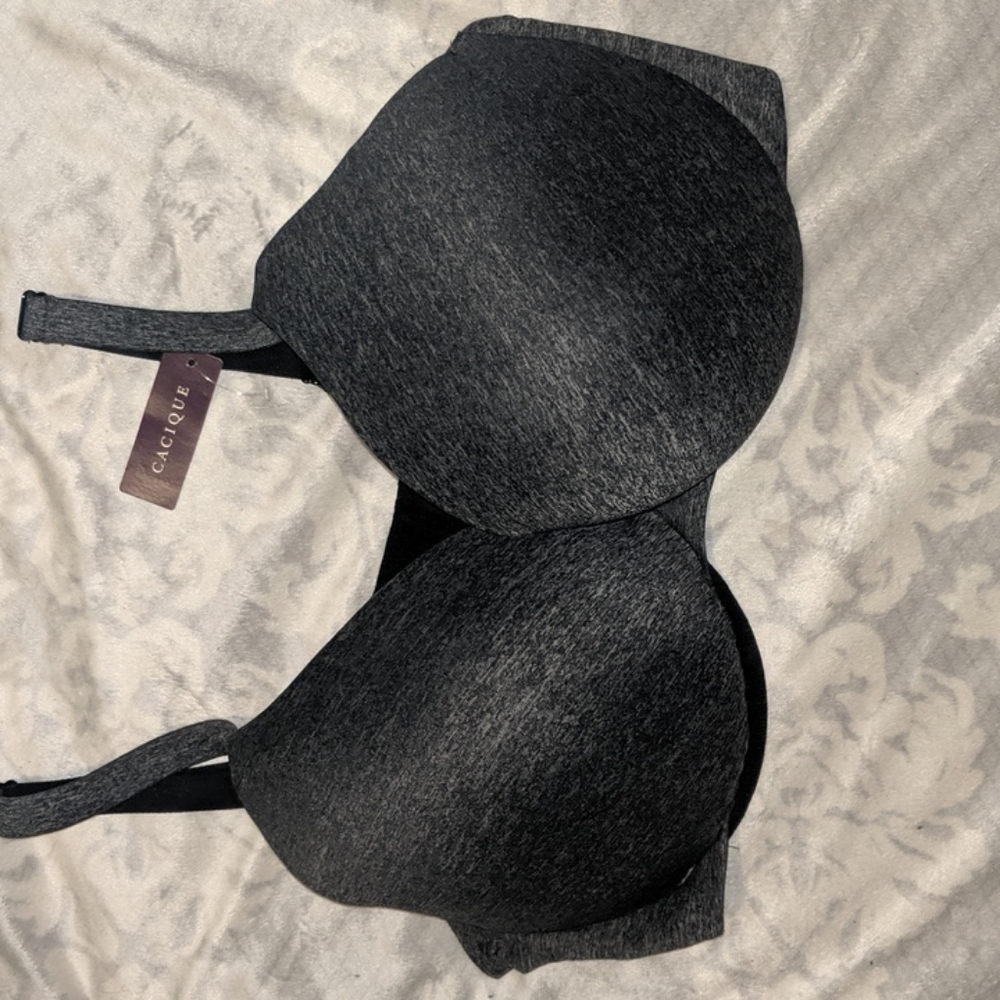 Women's Bra